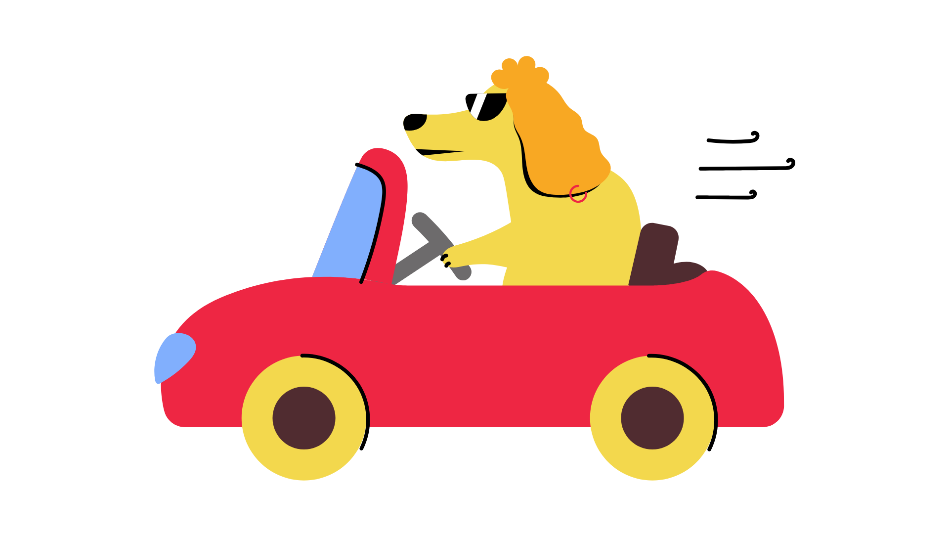 Illustration of a dog driving a car, representing a business running without the right systems in place